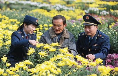 譙城工商積極引導農民轉型，花木種植經營成致富新路徑