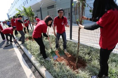 以環保產品為生命線，打造環境友好型農副產品銷售企業