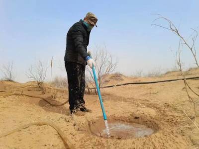 持續(xù)一小步，邁向綠色未來 每日黑巧以“巧護地球”引領(lǐng)農(nóng)副產(chǎn)品銷售新篇章